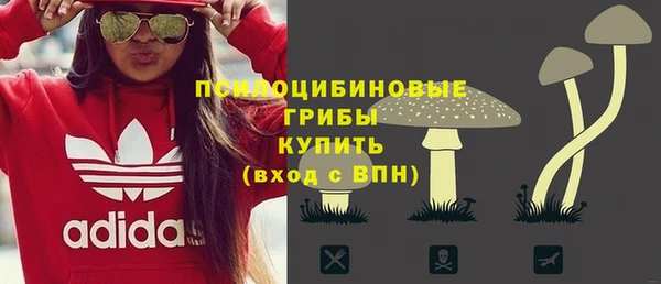 гидра Алексеевка