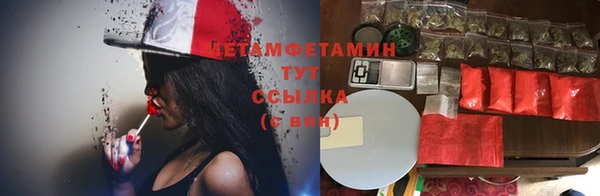 гидра Алексеевка