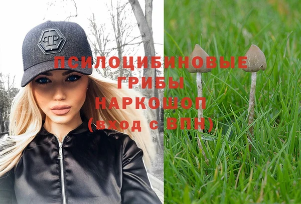 гидра Алексеевка