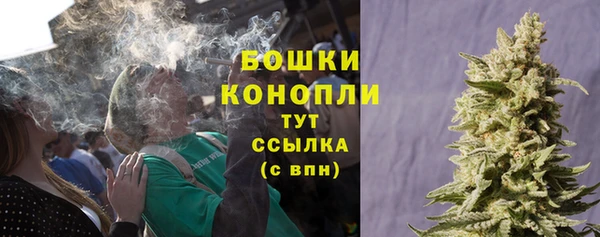 ПСИЛОЦИБИНОВЫЕ ГРИБЫ Алексин