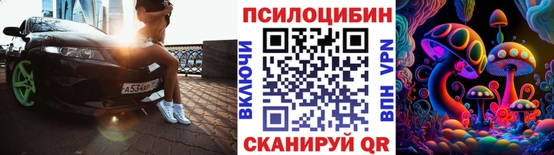 Псилоцибиновые грибы MAGIC MUSHROOMS  MEGA как зайти  Чадан 